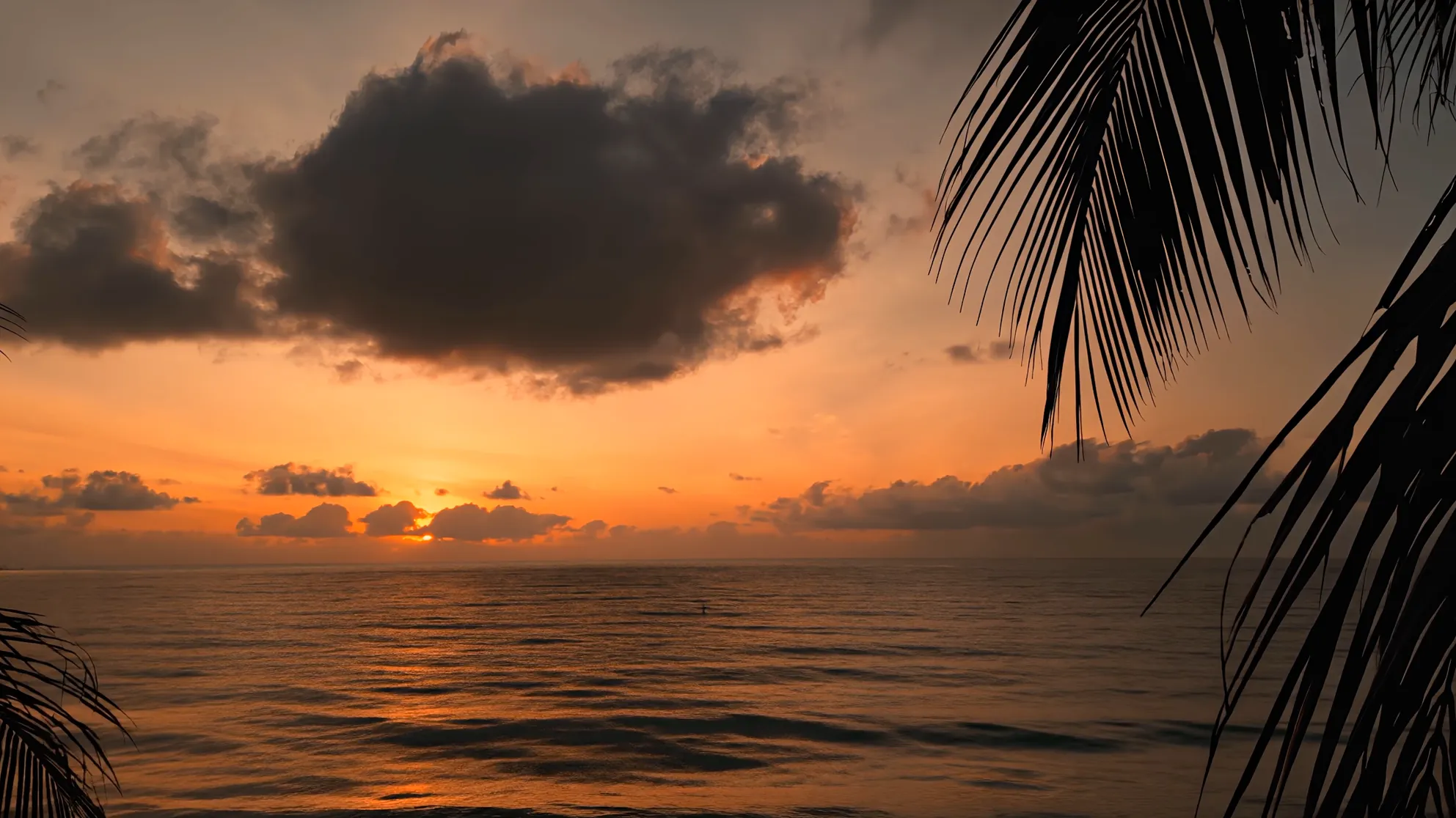 Hawaii ocean at sunset