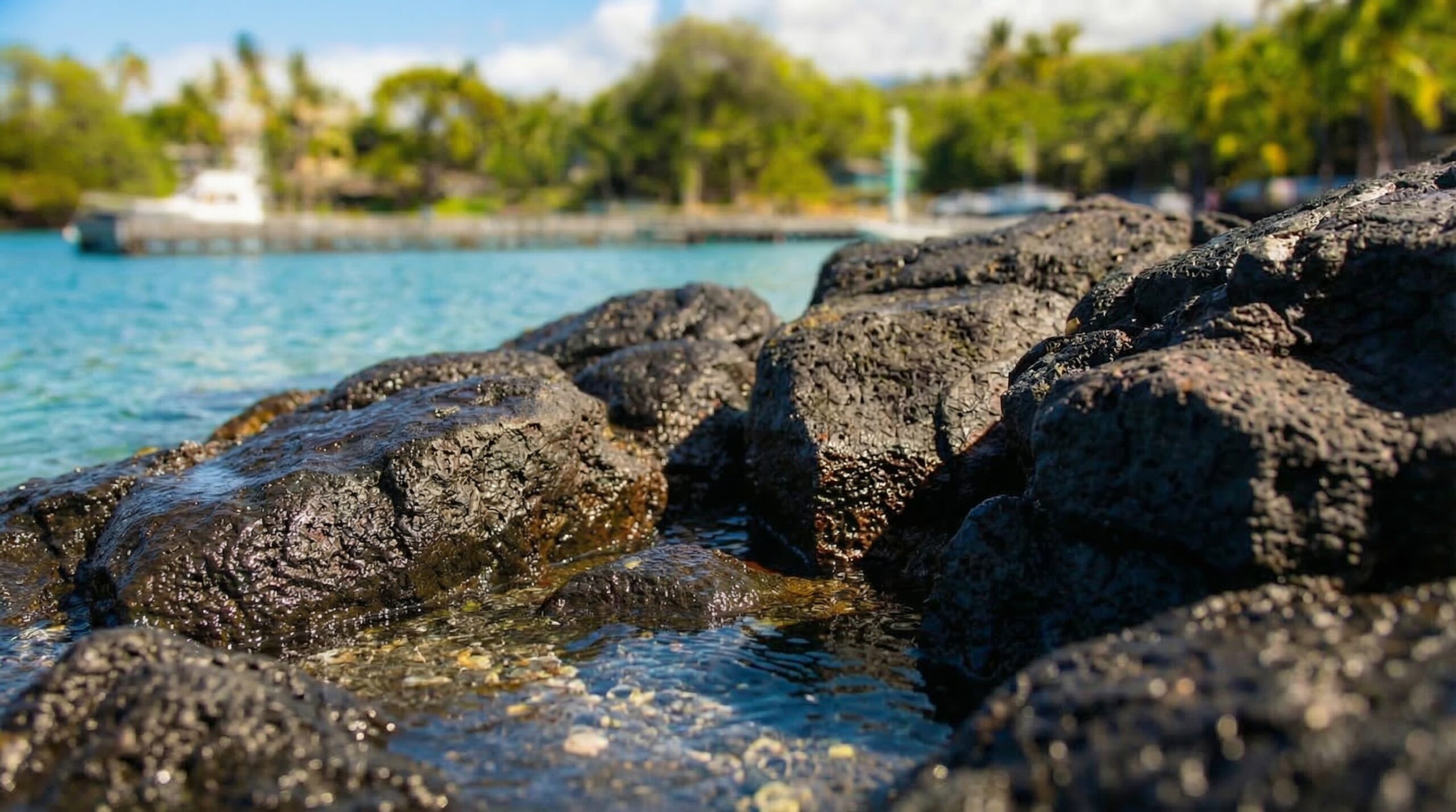 By Keauhou Bay
